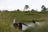 "Riverdance" 2138 Maleny - Kenilworth Road, Conondale QLD 4552-Image