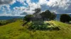 "Riverdance" 2138 Maleny - Kenilworth Road, Conondale QLD 4552-Image