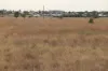 , Roma QLD 4455-Image