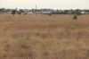 , Roma QLD 4455-Image