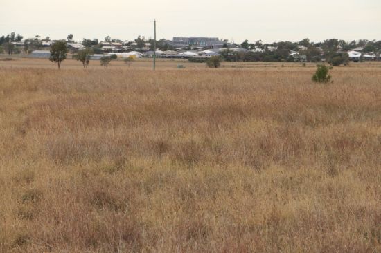 , Roma QLD 4455-Image