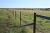 , Roma QLD 4455-Image