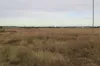 , Roma QLD 4455-Image