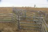 , Roma QLD 4455-Image