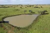 , Roma QLD 4455-Image