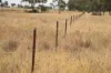 , Roma QLD 4455-Image