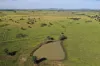 , Roma QLD 4455-Image