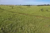 , Roma QLD 4455-Image