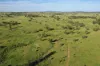 , Roma QLD 4455-Image