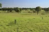 , Roma QLD 4455-Image