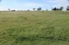 , Roma QLD 4455-Image