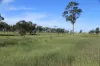 , Roma QLD 4455-Image