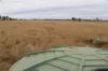 , Roma QLD 4455-Image