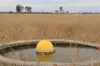 , Roma QLD 4455-Image
