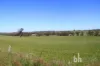 Section 332 and Section 330 & 405 Kubenk Road, Rockleigh, SA 5254-Image