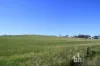 Section 332 and Section 330 & 405 Kubenk Road, Rockleigh, SA 5254-Image