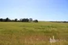 Section 332 and Section 330 & 405 Kubenk Road, Rockleigh, SA 5254-Image