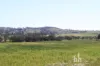 Section 332 and Section 330 & 405 Kubenk Road, Rockleigh, SA 5254-Image