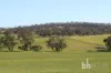 Section 332 and Section 330 & 405 Kubenk Road, Rockleigh, SA 5254-Image