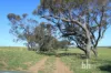 Section 332 and Section 330 & 405 Kubenk Road, Rockleigh, SA 5254-Image