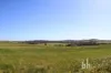 Section 332 and Section 330 & 405 Kubenk Road, Rockleigh, SA 5254-Image