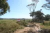 Section 332 and Section 330 & 405 Kubenk Road, Rockleigh, SA 5254-Image
