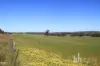 Section 332 and Section 330 & 405 Kubenk Road, Rockleigh, SA 5254-Image