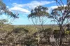 Section 369 Schwertie Road, Black Hill, SA 5353-Image