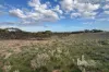 Section 369 Schwertie Road, Black Hill, SA 5353-Image
