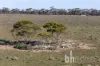 Section 369 Schwertie Road, Black Hill, SA 5353-Image