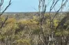 Section 369 Schwertie Road, Black Hill, SA 5353-Image