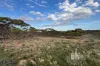 Section 369 Schwertie Road, Black Hill, SA 5353-Image