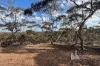 Section 369 Schwertie Road, Black Hill, SA 5353-Image