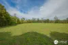 Spooners Avenue, Collombatti, NSW 2440-Image