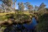 "Spring Camp" 221 Spring Camp Road, Armidale NSW 2350-Image