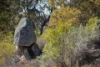 "Spring Camp" 221 Spring Camp Road, Armidale NSW 2350-Image