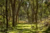 "Spring Camp" 221 Spring Camp Road, Armidale NSW 2350-Image