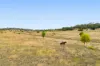 'Spring Valley'/1 Kelly Road, Scrubby Mountain QLD 4356-Image