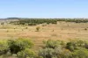 'Spring Valley' Lot 1 Kelly Road, Scrubby Mountain, Qld 4356-Image