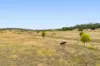 'Spring Valley' Lot 1 Kelly Road, Scrubby Mountain, Qld 4356-Image