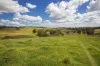 Summerville Road, Beechmont, Qld 4211-Image