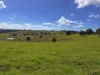 Summerville Road, Beechmont, Qld 4211-Image
