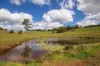 Summerville Road, Beechmont, Qld 4211-Image