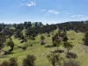 "Sunset Ridge" 840 Tomalla Road Omadale Via, Scone, NSW 2337-Image