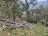 "Sunset Ridge" 840 Tomalla Road Omadale Via, Scone, NSW 2337-Image