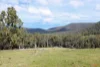 "Tada-Ima" Lots 61 & 81 Stuart Road, Corrowong, NSW 2633