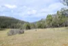 "Tada-Ima" Lots 61 & 81 Stuart Road, Corrowong, NSW 2633-Image