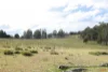 "Tada-Ima" Lots 61 & 81 Stuart Road, Corrowong, NSW 2633-Image