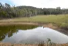"Tada-Ima" Lots 61 & 81 Stuart Road, Corrowong, NSW 2633-Image