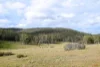"Tada-Ima" Lots 61 & 81 Stuart Road, Corrowong, NSW 2633-Image